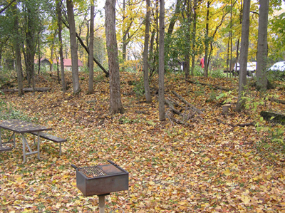 Buckthorn