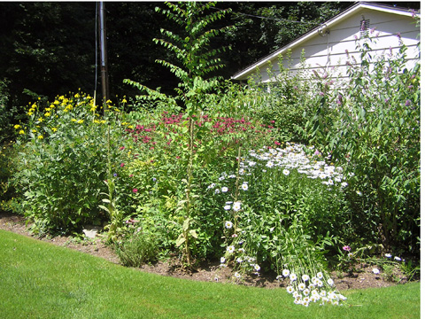 native garden