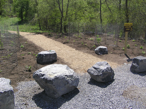 Trail planting