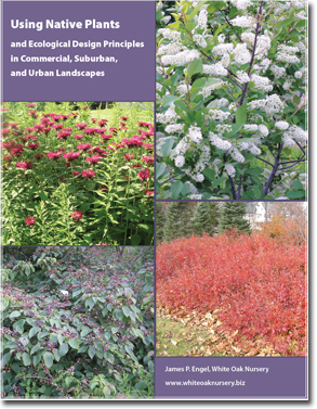 Using Native Plants & Ecological Design Principles